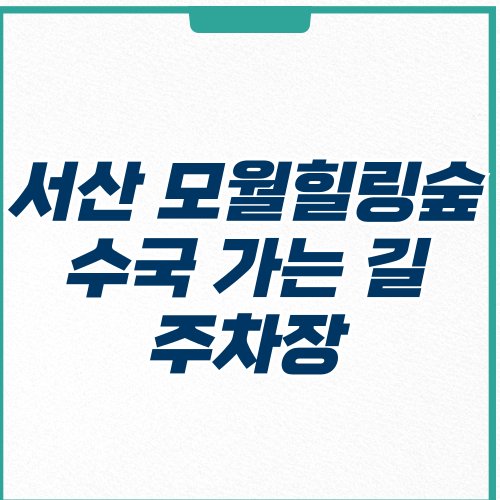 서산 모월힐링숲 수국 가는 길