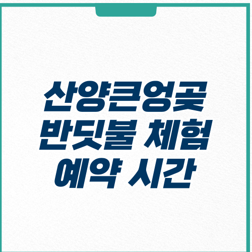 산양큰엉곶 반딧불 체험 예약 시간
