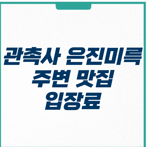 관촉사 은진미륵 주변 맛집 입장료