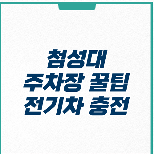 경주 첨성대 주차장 꿀팁