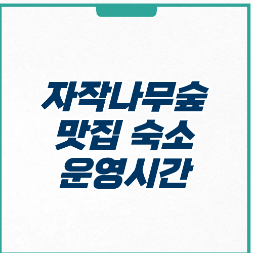 자작나무숲 맛집 숙소 운영시간