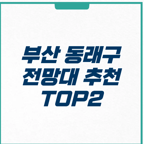 부산 동래구 전망대 위치 주차 영업시간