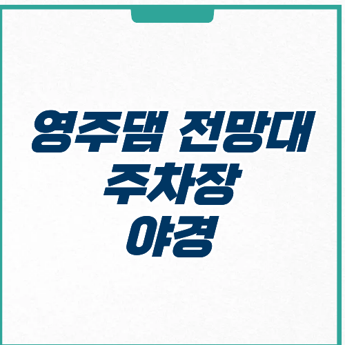 영주댐 전망대 추천 주차장 야경 