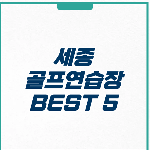 세종 골프연습장 추천 BEST 5 | 가격 | 시설 | 후기 완벽 가이드