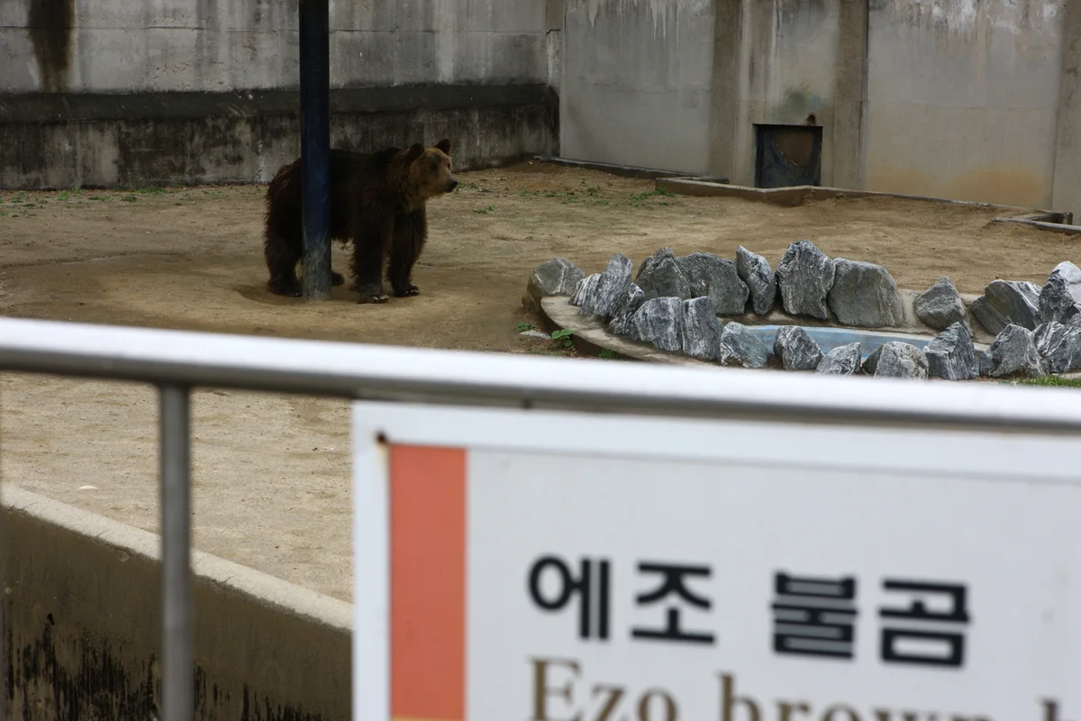 달성공원 놀이터 및 휴식 공간 - 대구여행 여행