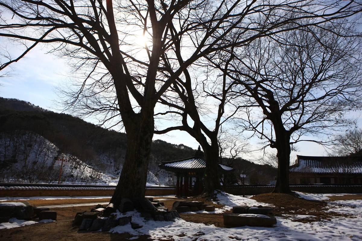쌍봉사 - 화순 여행