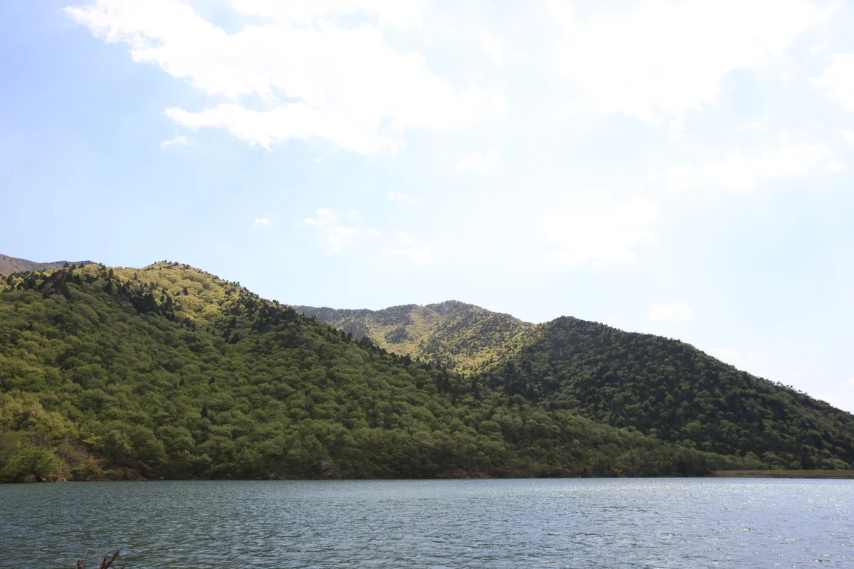 금산만악리수목원 오토캠핑장 - 금산여행 여행
