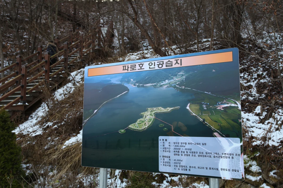 한반도섬 짚라인 - 양구여행 여행