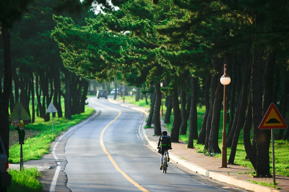 송정공원 - 송정캠핑 여행