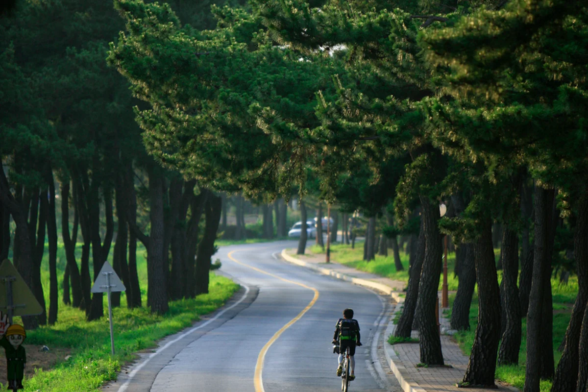 해운대블루라인파크 송정정거장 - 송정캠핑 여행