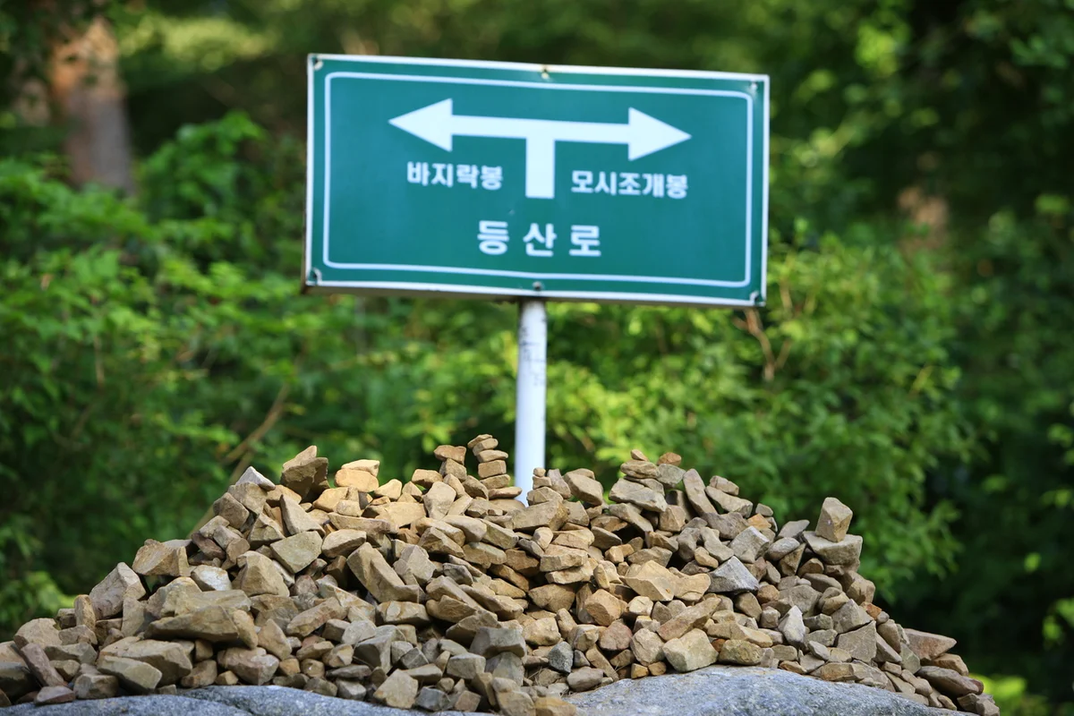 안면도자연휴양림 - 태안군 여행