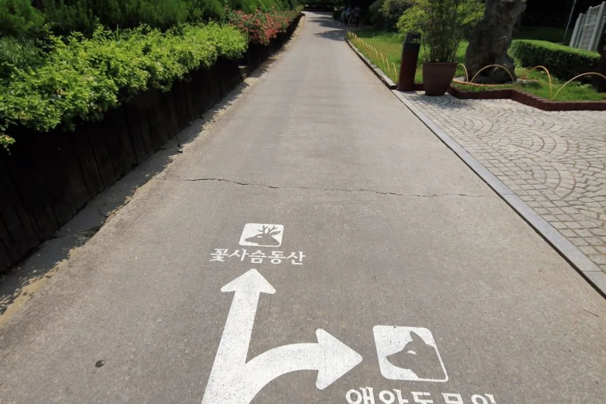베어트리파크 - 공주여행 여행