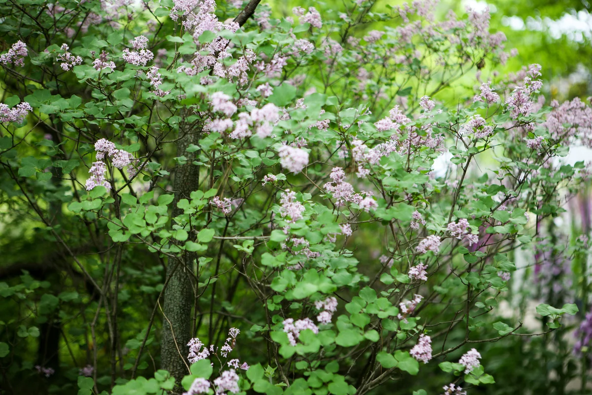 와우산 - 상수동 여행