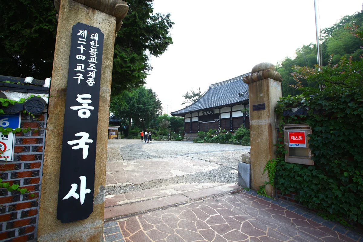 2026년 봄, 놓칠 수 없는 국내 당일치기 여행 명소 - 국내여행 여행