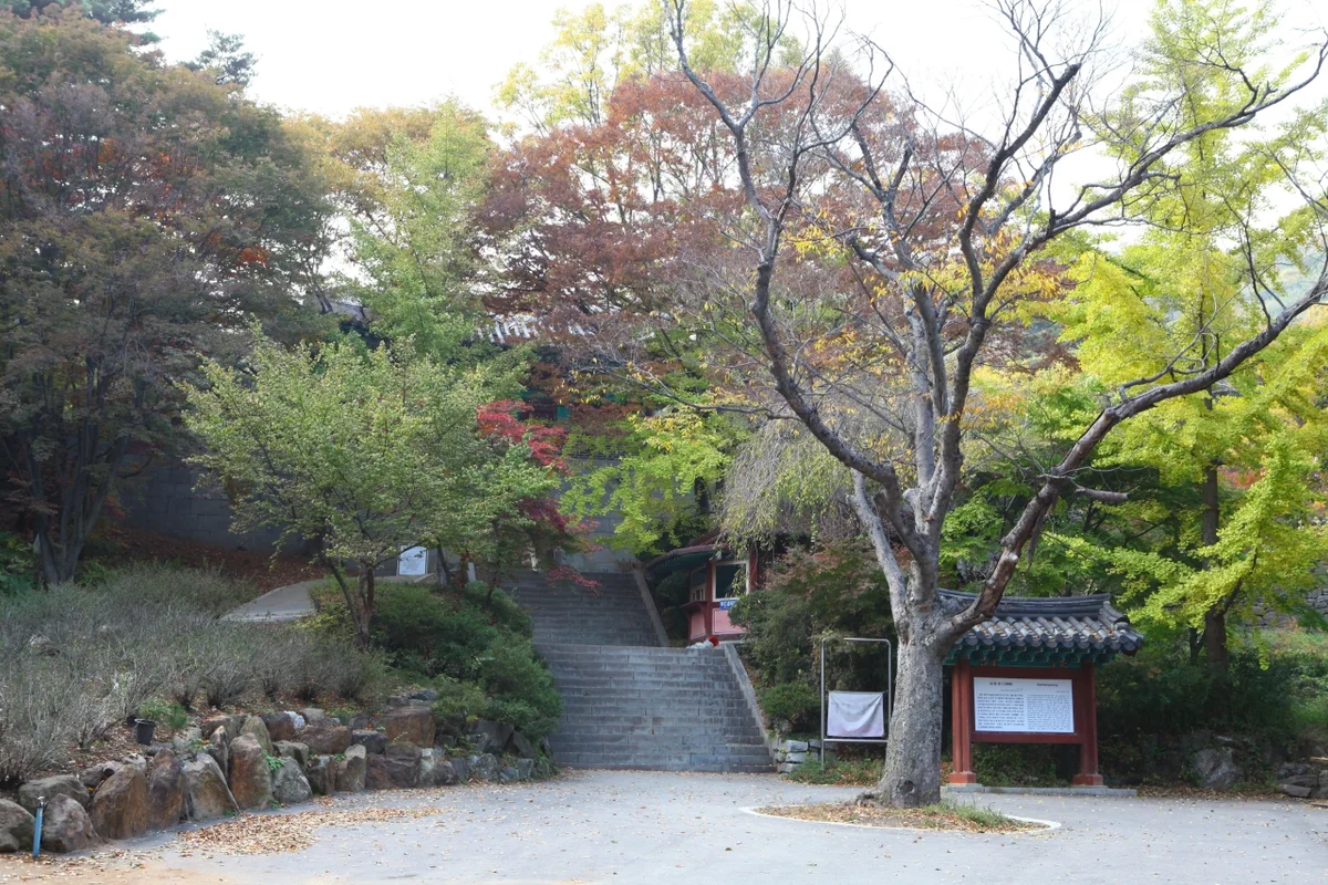 전등사 - 강화도야경 여행