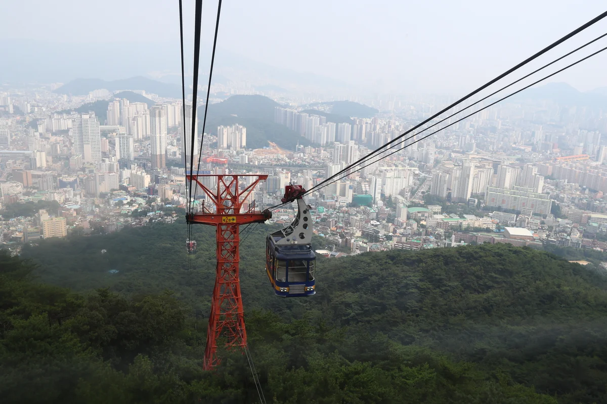 동래구 반려견 놀이터 - 동래구 여행