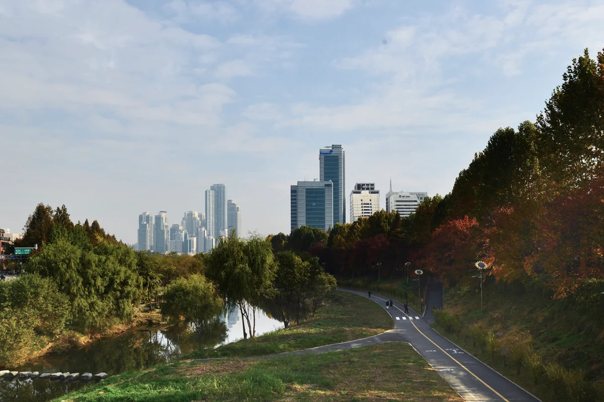 양재천 - 강남드라이브 여행