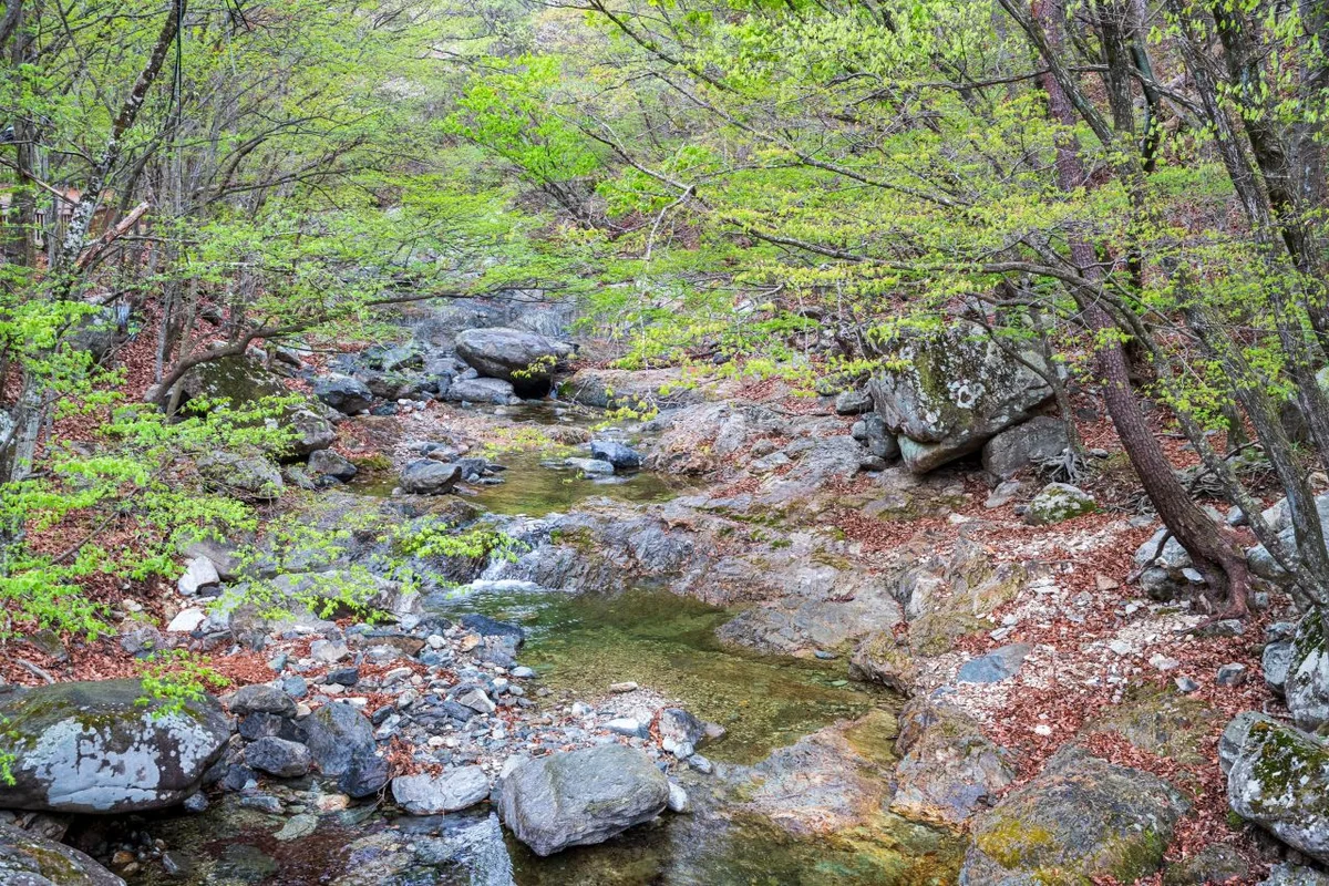 와우쥬 양산점 - 양산여행 여행