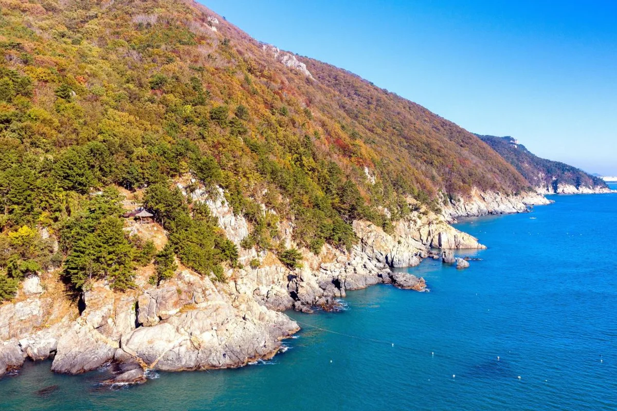 강서 산책: 강서둘레길1코스(개화산숲길) - 강서 여행