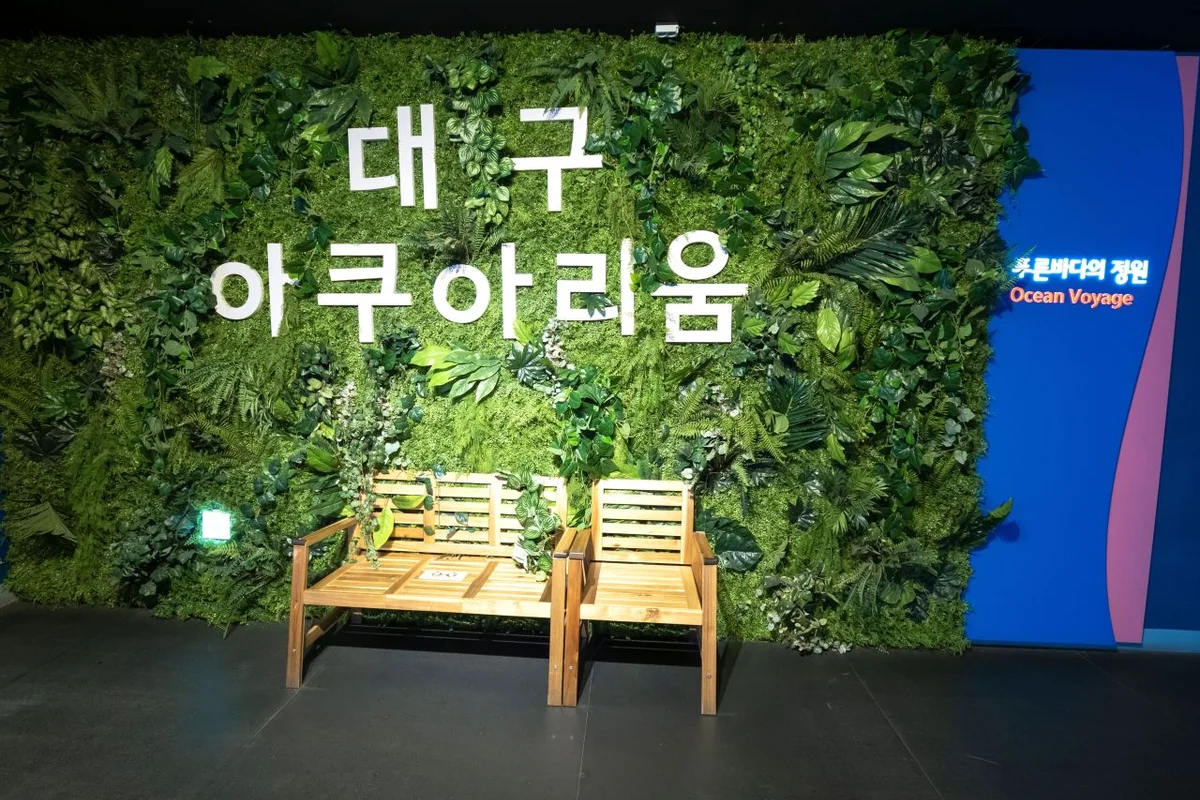 대구아쿠아리움 - 동대구역 여행