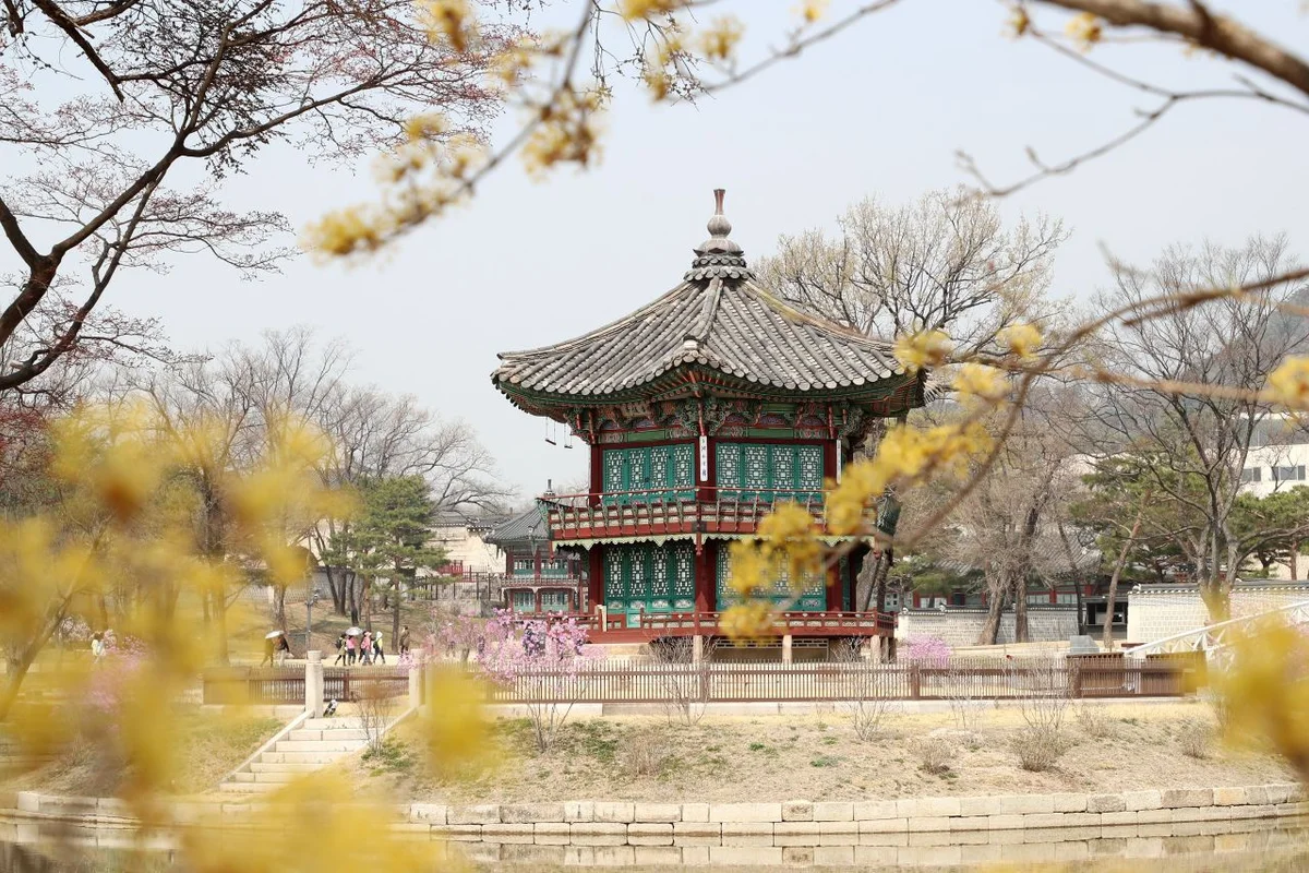수유 힐링 여행의 시작, 오패산 - 수유여행 여행