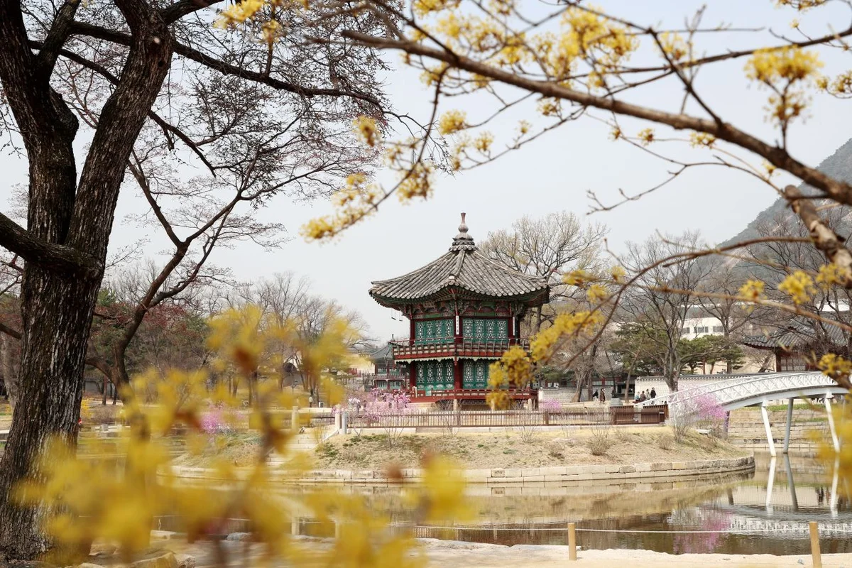 오동근린공원 유아숲체험장 - 수유여행 여행