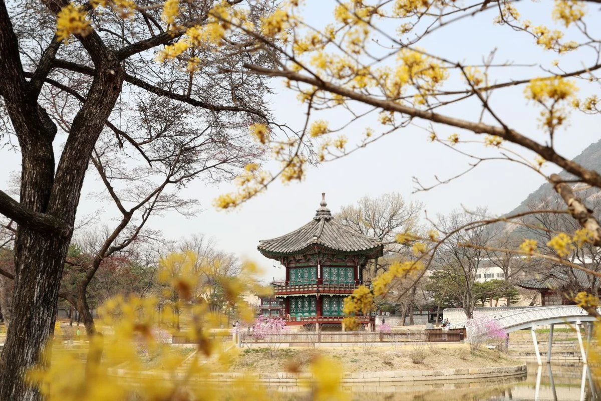 오동근린공원 - 수유 트레킹 여행