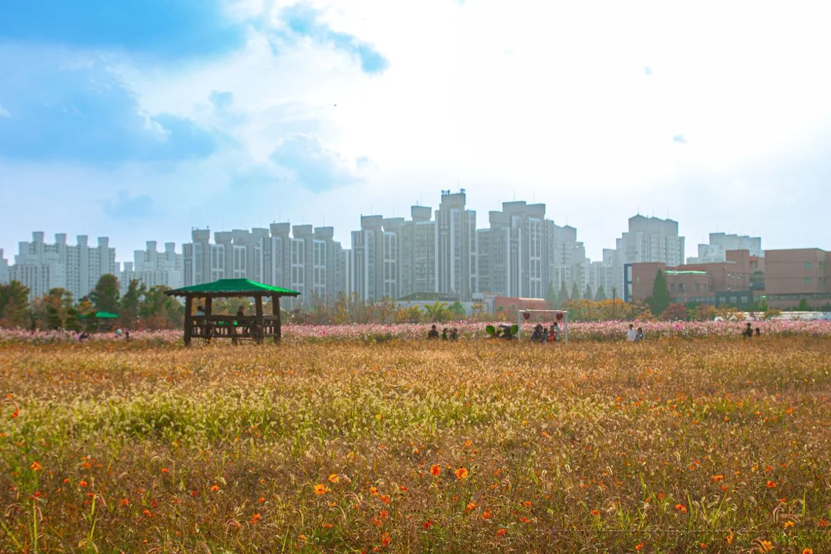 양구역사체험관 - 양구여행 여행