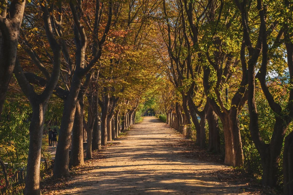 경상북도 수목원 - 포항여행 여행