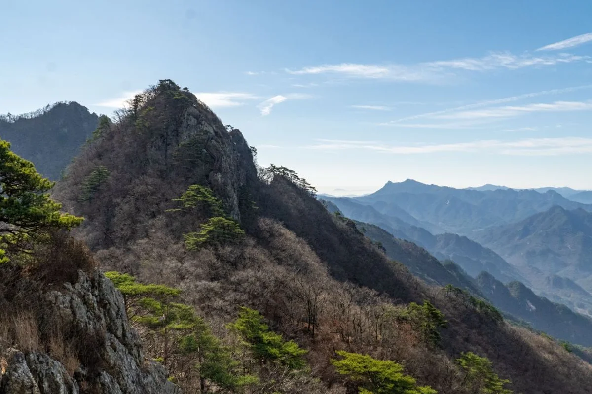 월악산 부모님 모시고: 2026년 봄 추천 여행지 - 월악산 여행