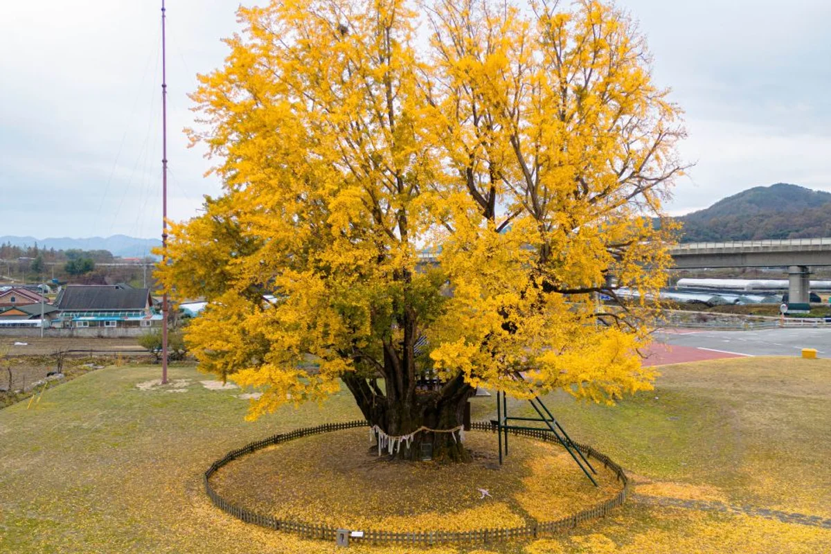 보곡산골마을 - 금산군 여행