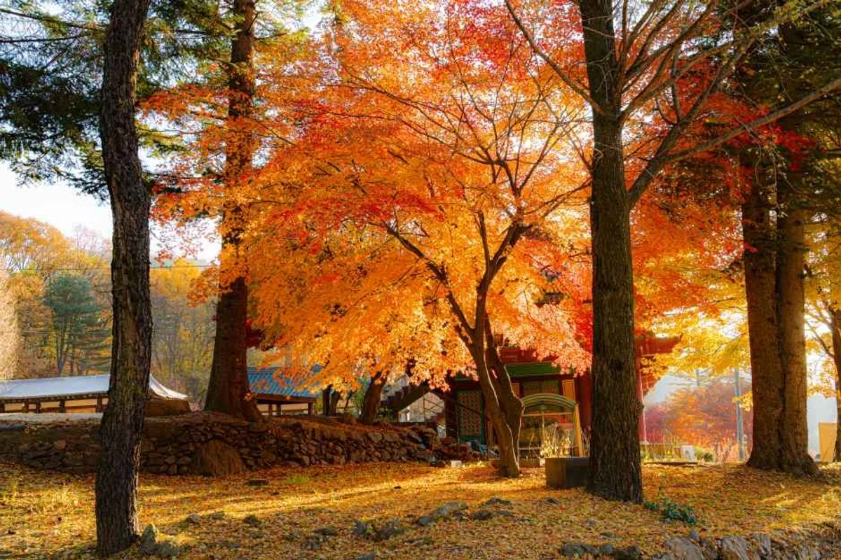 롯데프리미엄아울렛 의왕점 - 경기도 드라이브 여행