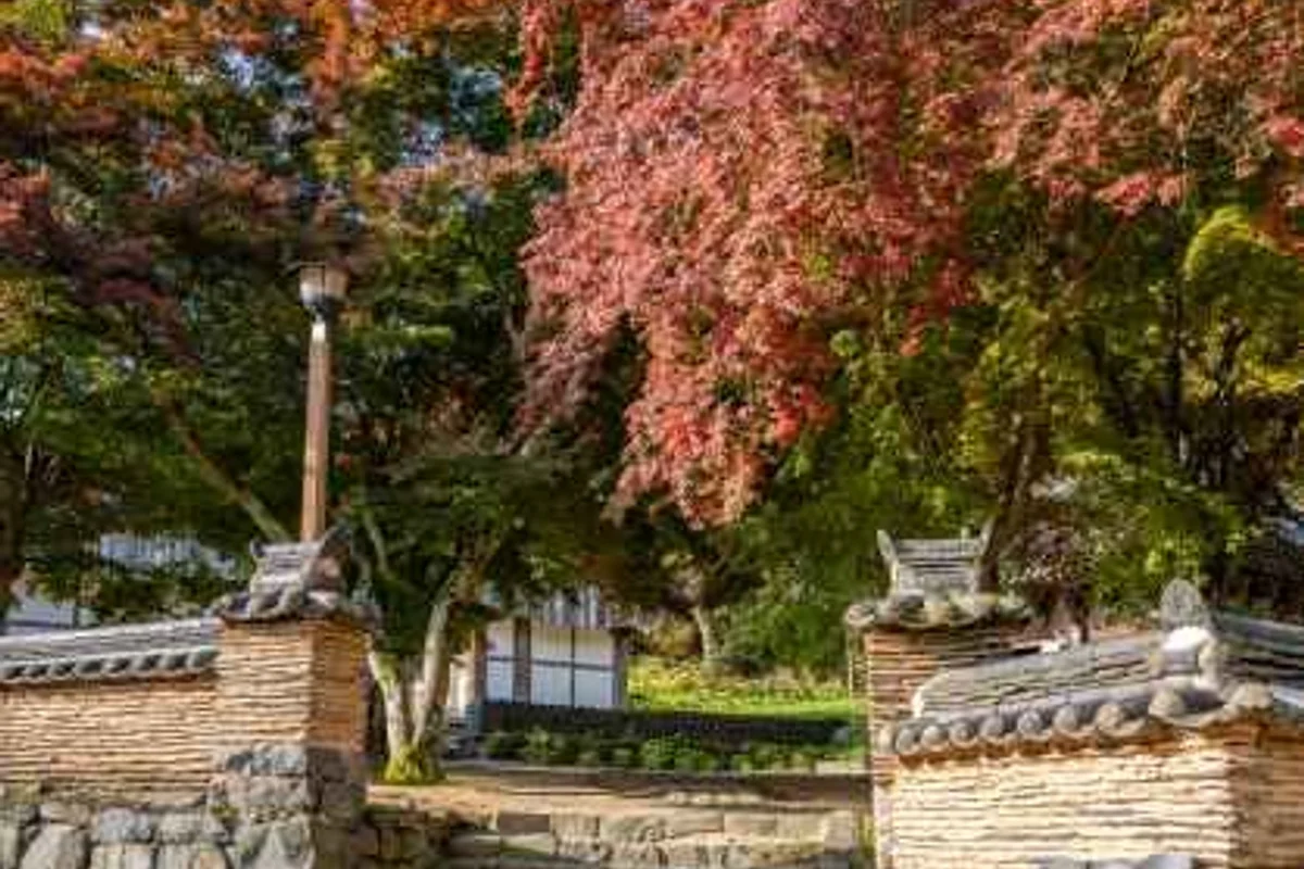 공주 한국자연사박물관 - 공주여행 여행