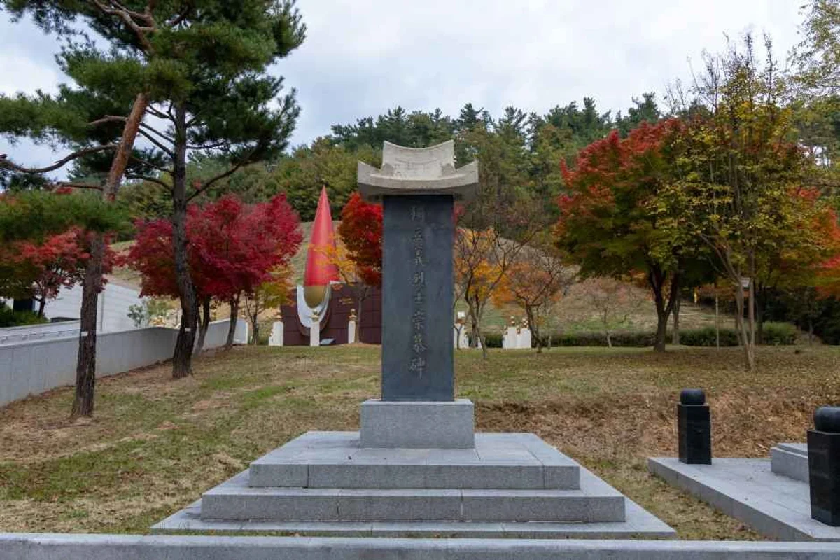 밀양 짚라인: 로복 에코어드벤처파크 - 밀양 짚라인 여행