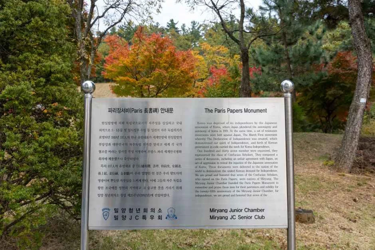 밀양강 캠프스쿨 짚라인 - 밀양 짚라인 여행