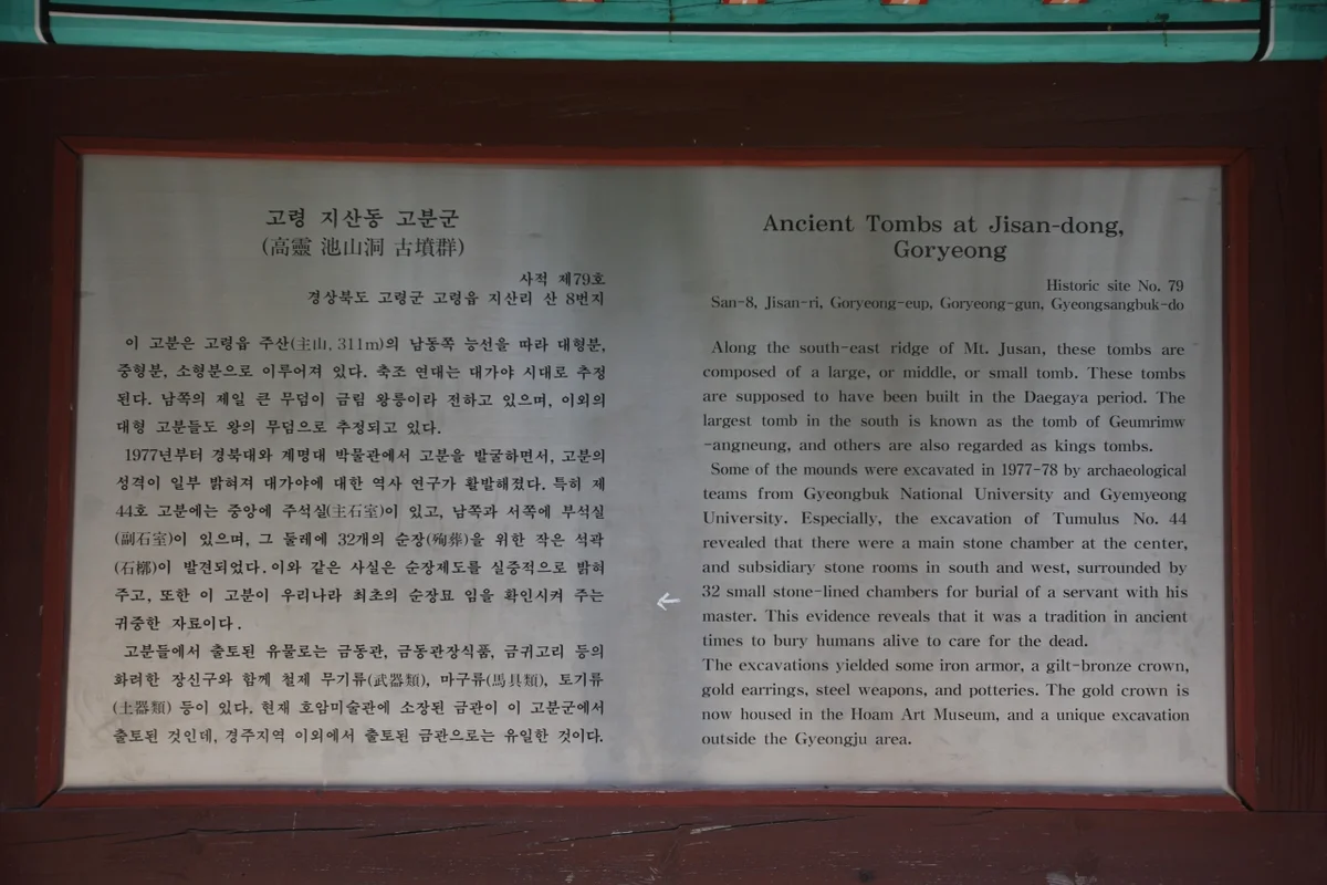강정보디아크광장 - 고령벚꽃 여행