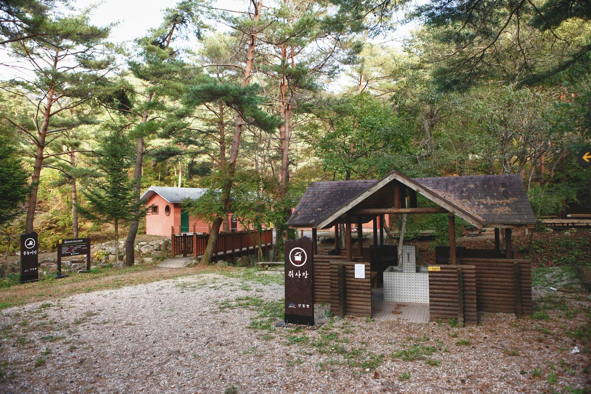 국립검마산자연휴양림 - 영양군 여행