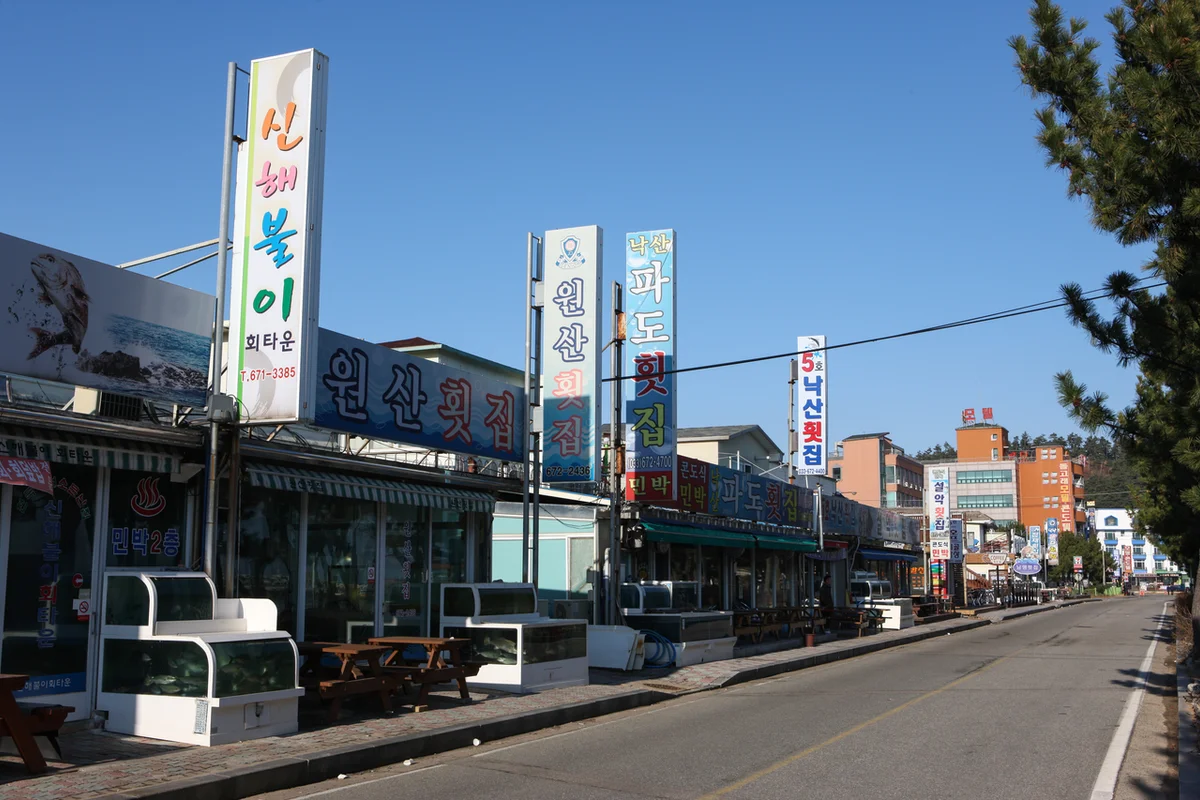 둔산대공원 - 한밭수목원 여행