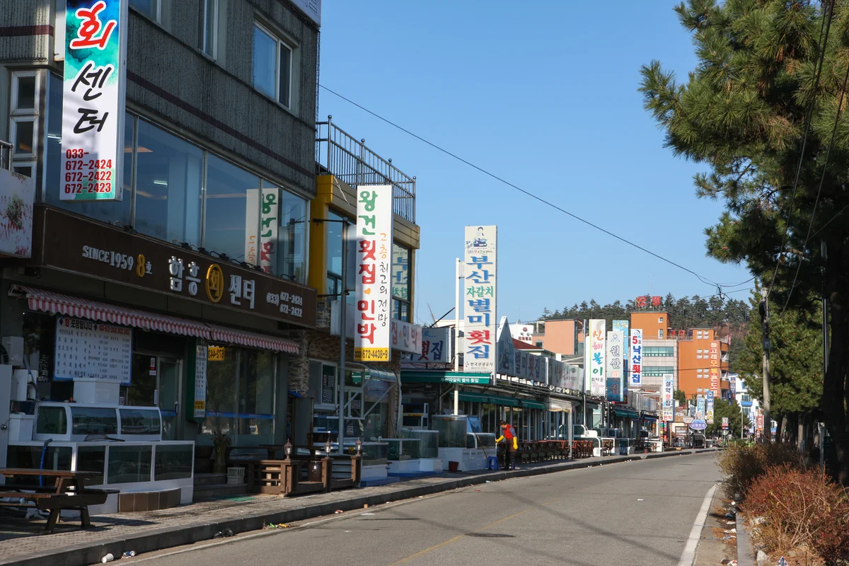 천연기념물센터 - 한밭수목원 여행