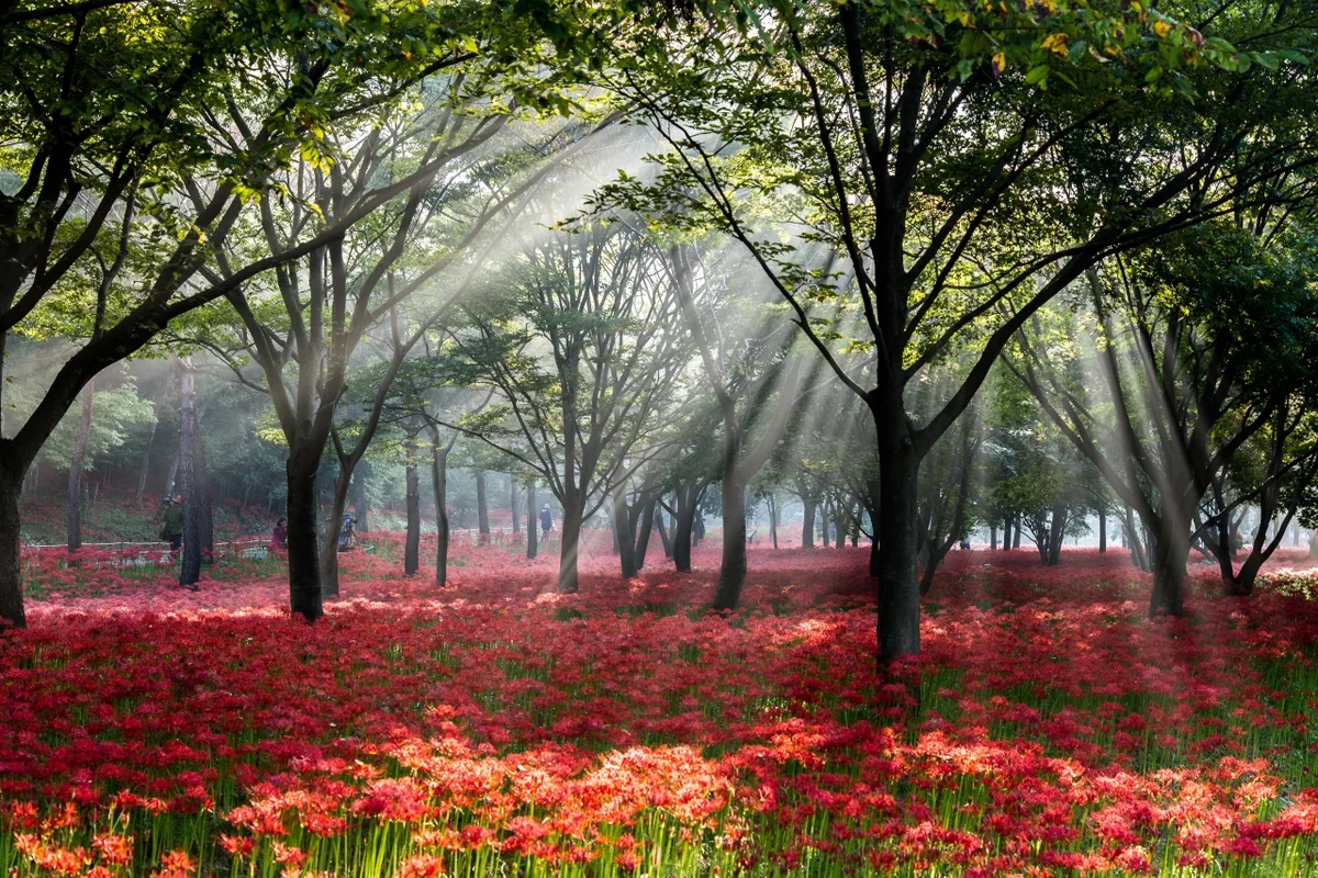 전남도립미술관 - 전남여행 여행