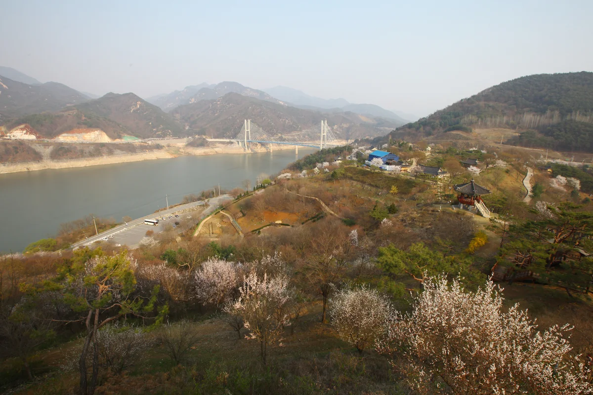 청풍호반케이블카 - 청풍호벚꽃 여행