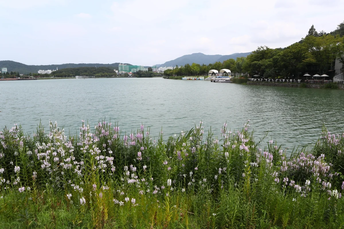 수성못 해안 산책로 - 대구여행 여행