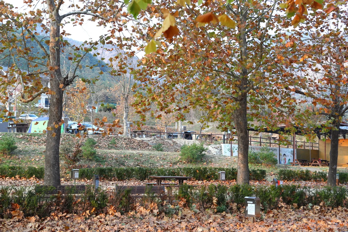 주왕산얼음골 - 주왕산 여행
