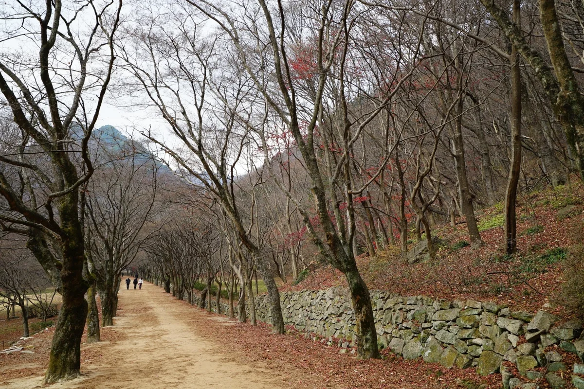 햇빛정원 - 정읍여행 여행