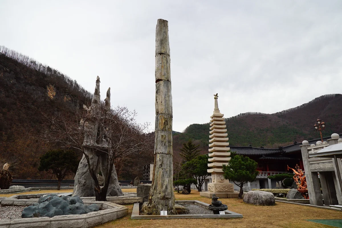 삼척해양레일바이크 궁촌정거장 - 삼척 여행 여행