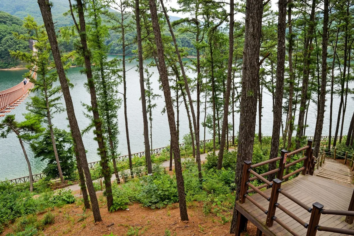 마장호수 출렁다리 - 파주 여행