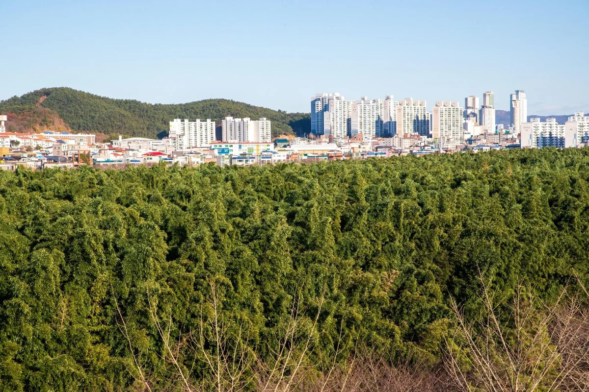 태화강 십리대숲 - 울산여행 여행