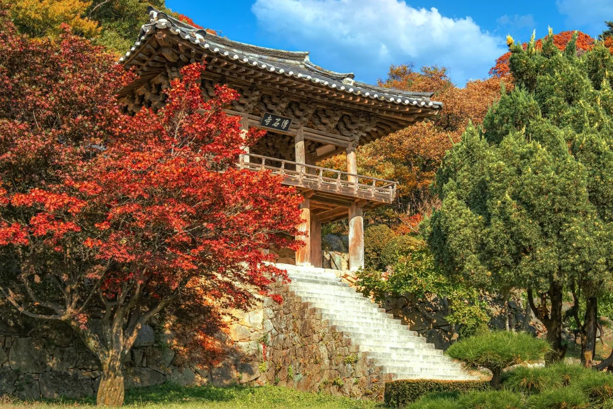 안양천 충훈부 벚꽃길 - 안양여행 여행