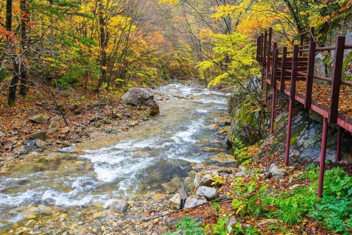우루루 동물농장 - 평창군 여행
