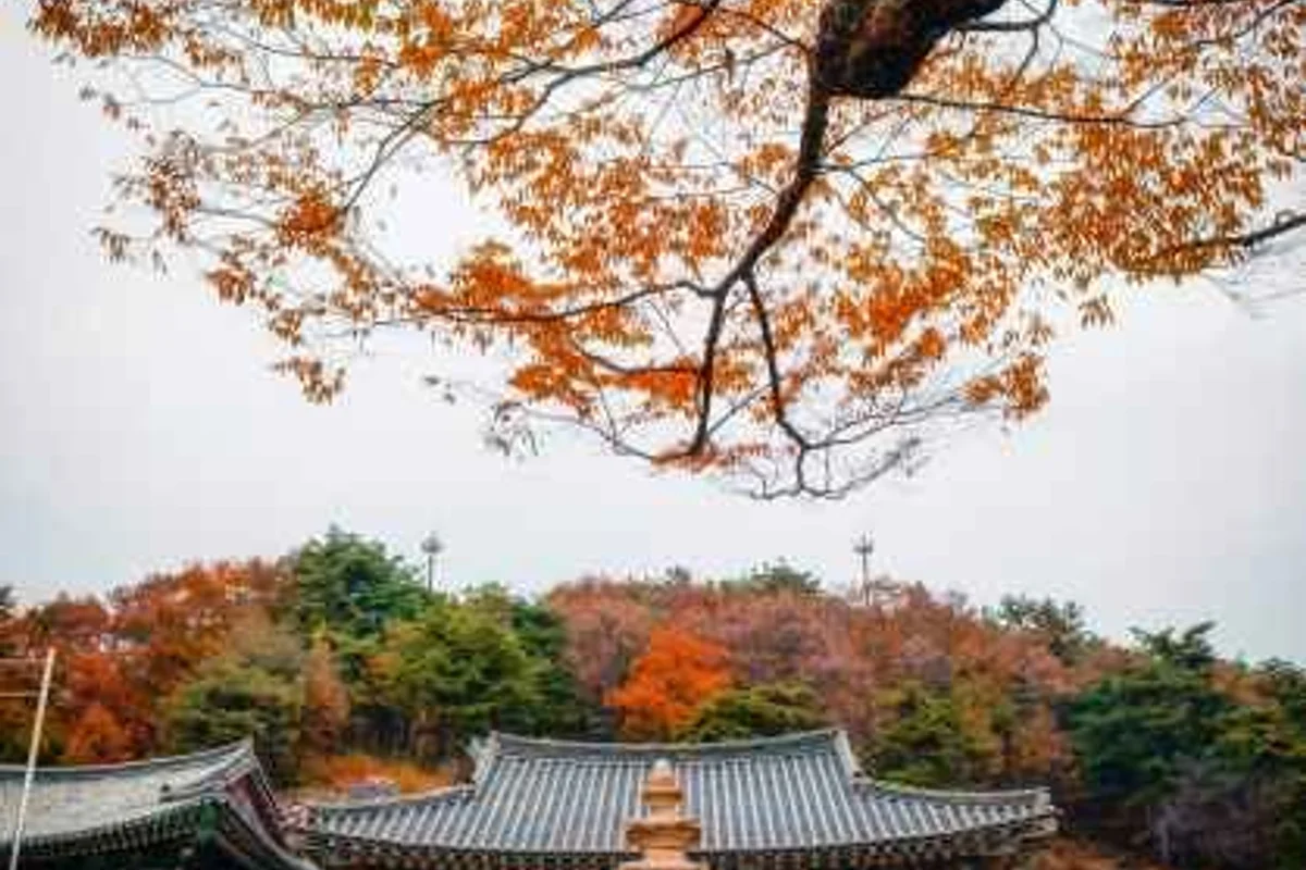 쥬라리움 세종점 - 세종여행 여행